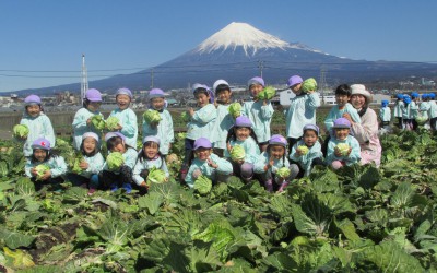 16.04 ゆきよし幼稚園 写真 16.04 ゆきよし幼稚園 写真