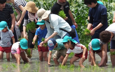20160701リリー幼稚園 20160701リリー幼稚園