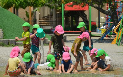 DSC_0351 DSC_0351