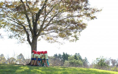 IMG_5036 IMG_5036