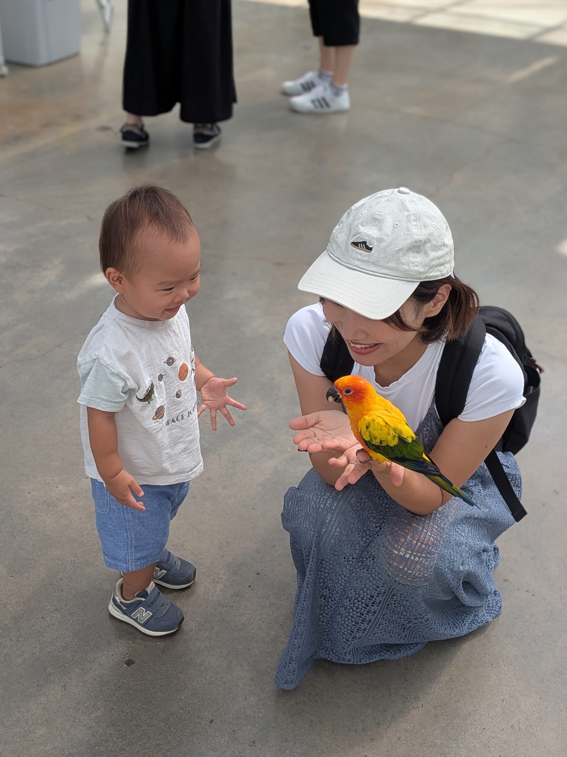 インコさん、こんにちは